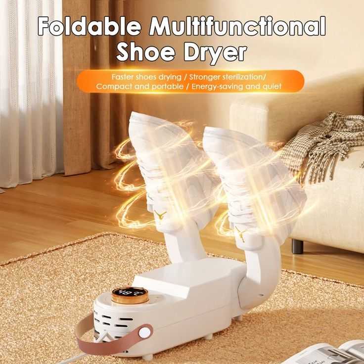Compact Shoe Dryer