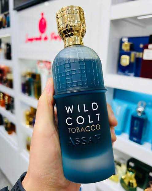 Assaf Wild Colt Tobacco + Gris Erik 200ml {Bundle}